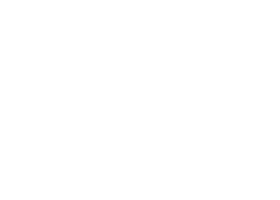icon-02
