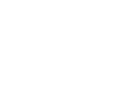 icon-03