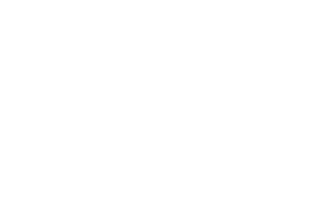 icon-04